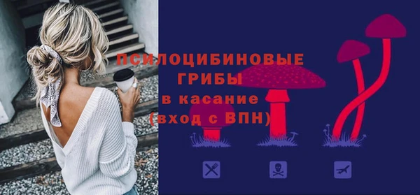 ECSTASY Алексин