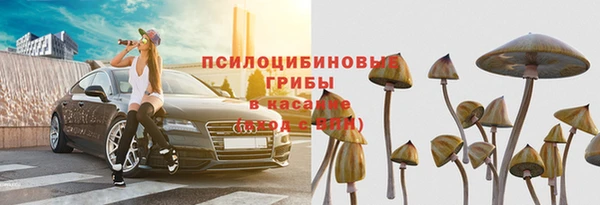 ECSTASY Алексин