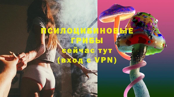 ECSTASY Алексин