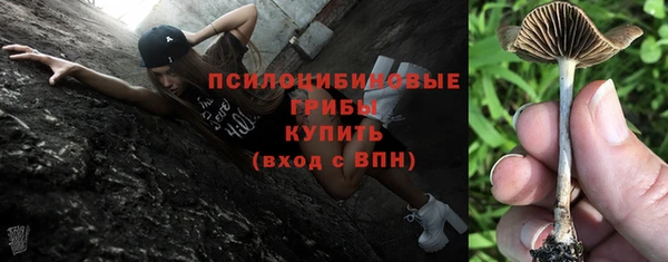 прущий лед Алексеевка