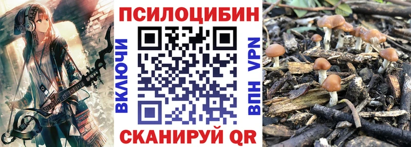 что такое наркотик  Ардон  Галлюциногенные грибы Psilocybine cubensis 